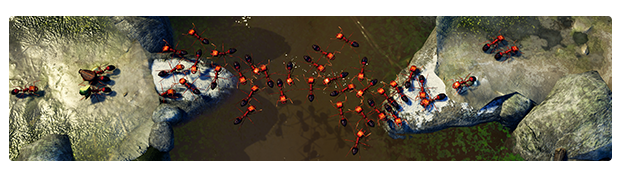 地下蚁国/Empires of the Undergrowth(更新v1.101071)(图7)