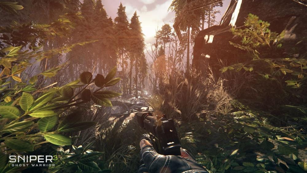 狙击手：幽灵战士3/Sniper: Ghost Warrior 3(图1)