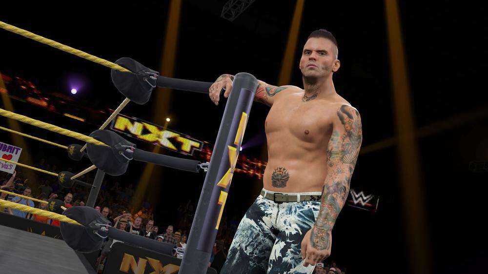 WWE 2K15(图1)
