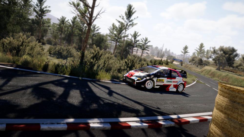 世界汽车拉力锦标赛10/WRC 10 FIA World Rally Championship(图7)