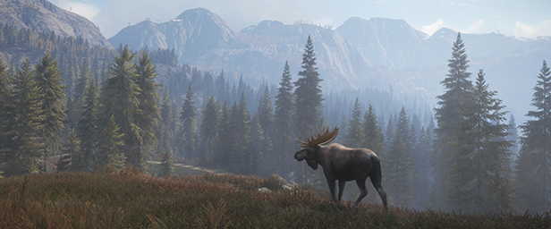 猎人：野性的呼唤/theHunter: Call of the Wild（更新v2649775）(图1)