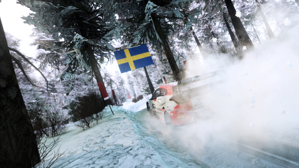 WRC世代/WRC Generations – The FIA WRC Official Game(图4)