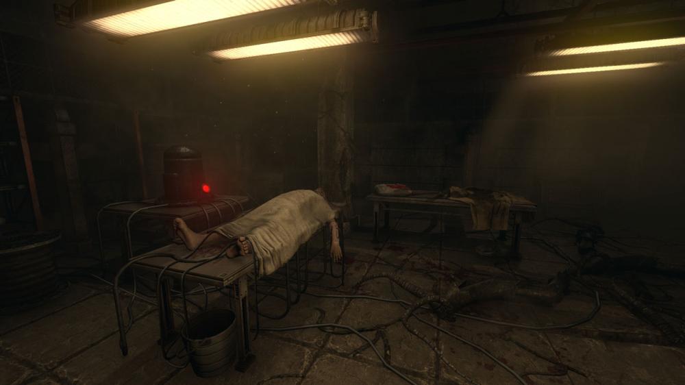 活体脑细胞/SOMA(图1)