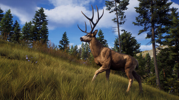 猎人之路/Way of the Hunter（更新v1.24.3）（待补充）(图2)