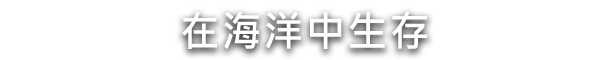 水之城/Aquatico（v1.009）(图3)