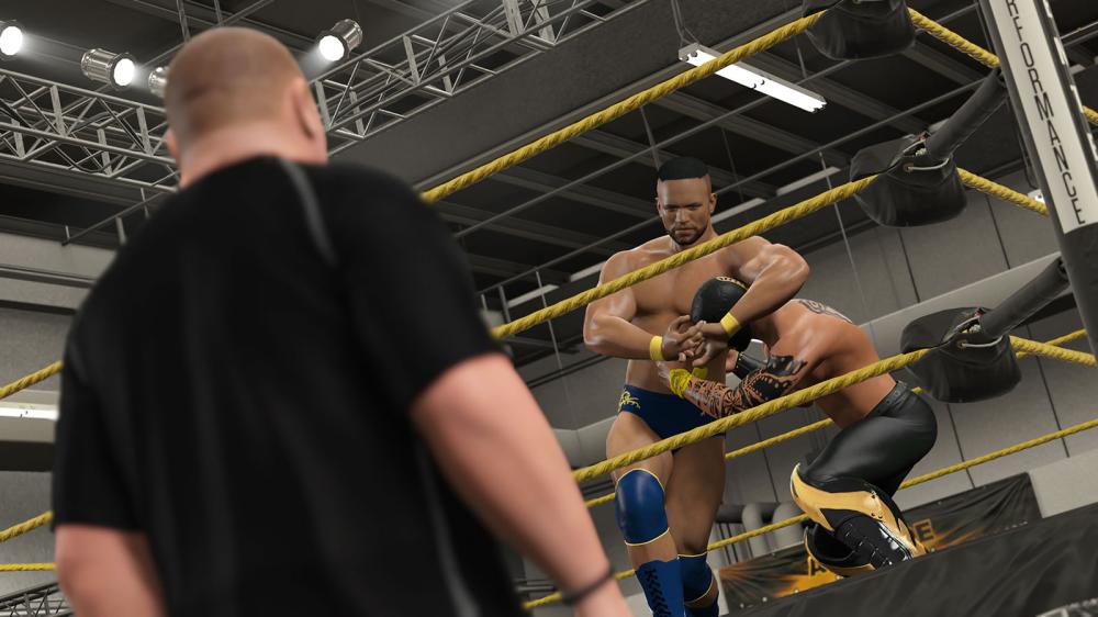 WWE 2K15(图6)