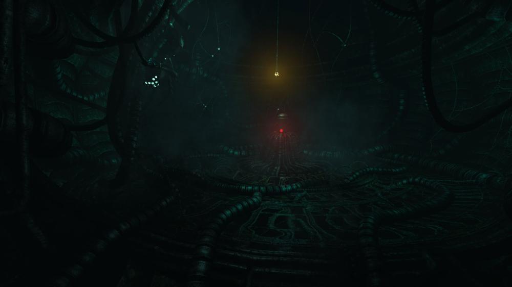 活体脑细胞/SOMA(图2)