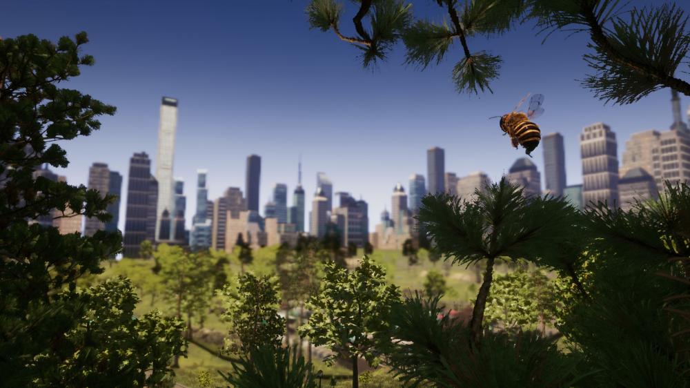 蜜蜂模拟/Bee Simulator（Build 20210126）(图2)
