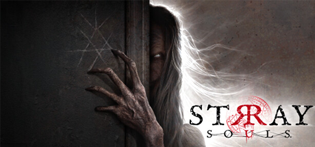 流浪的灵魂 STRAY SOULS(图1)