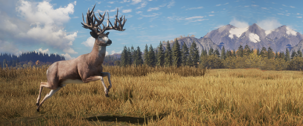 猎人：野性的呼唤/theHunter: Call of the Wild（更新v2649775）(图4)