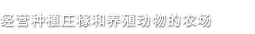 澳洲梦想镇/Dinkum（v0.5.0）(图9)