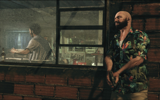 马克思佩恩3/Max Payne3(图3)