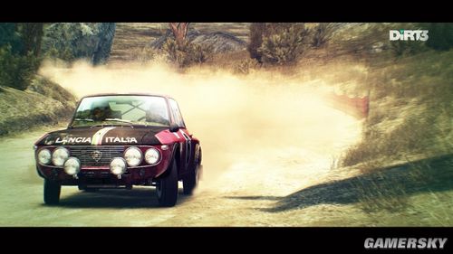 尘埃3/DiRT 3(图4)