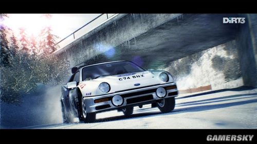 尘埃3/DiRT 3(图2)