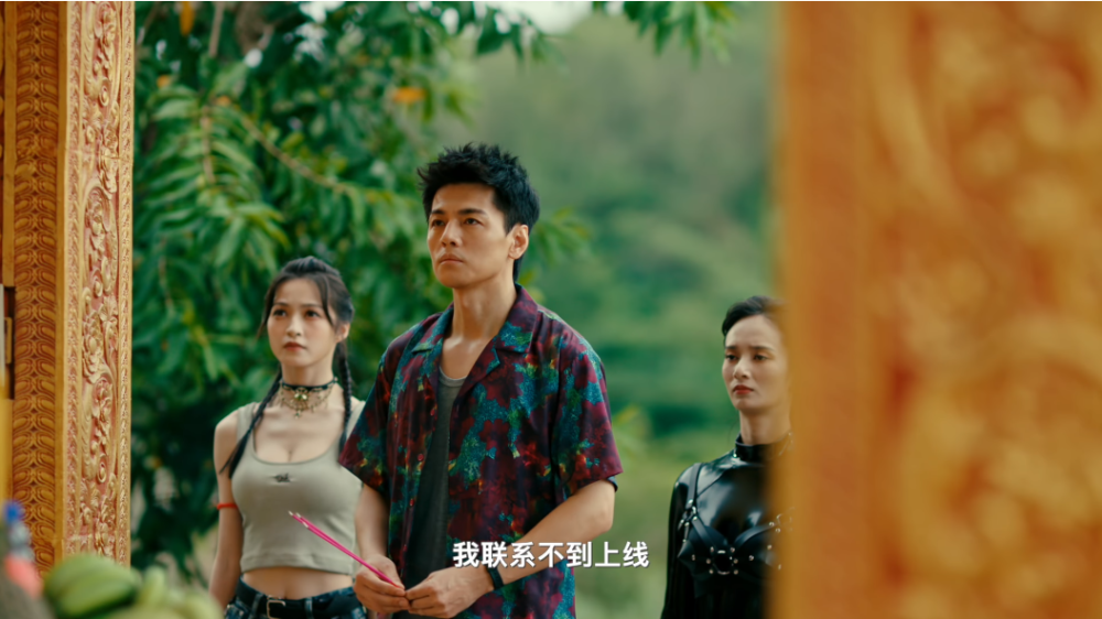 扫毒风暴：宛北往事/The Narcotic Operation(图2)